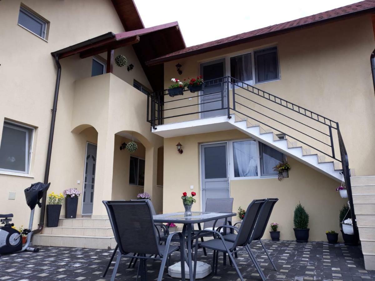 Casa Luisa Apartment Calimanesti Exterior photo